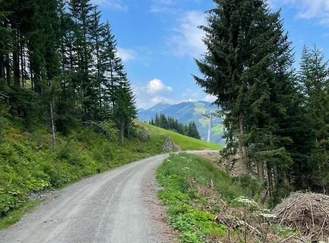 Апартаменты Melanie Ваграйн