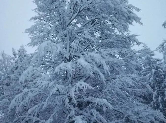 Melanie Апартаменты *